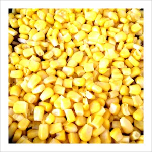 CameraBag_Photo_1004