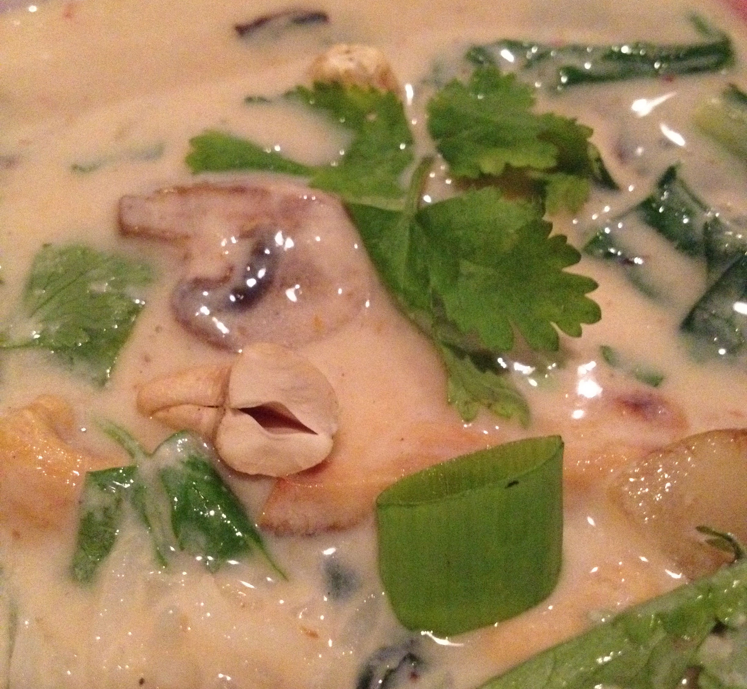 Super Low Fat Vegan Thai Curry